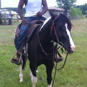 Meet your Posher, Walter